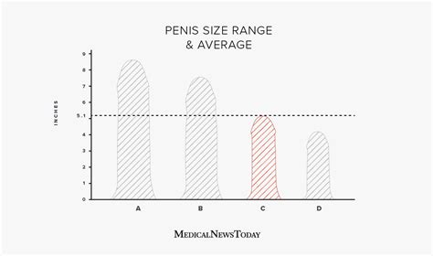 Image result for Comparing Pensises
