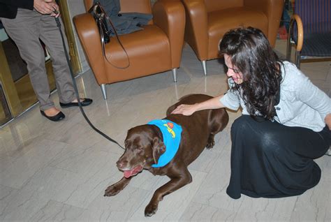 The Lofts at 1835 Arch #volunteers for St. Christopher Hospital for ...