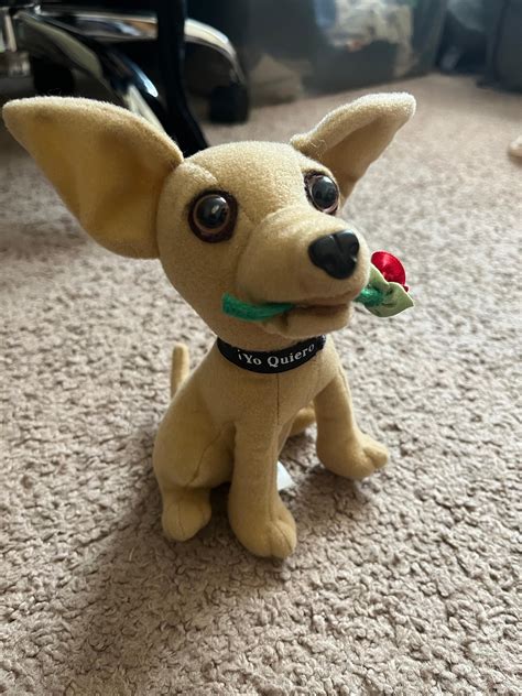 Taco Bell Dog