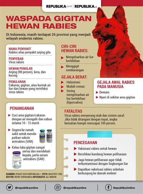 Infografis Awas Gigitan Hewan Rabies! | Republika Online