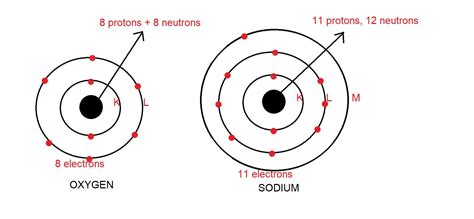draw the schematic atomic structure of oxygen and sodium - Brainly.in