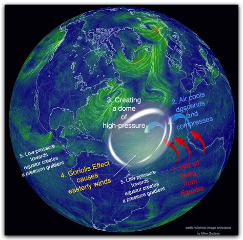 Trade Wind 的图像结果