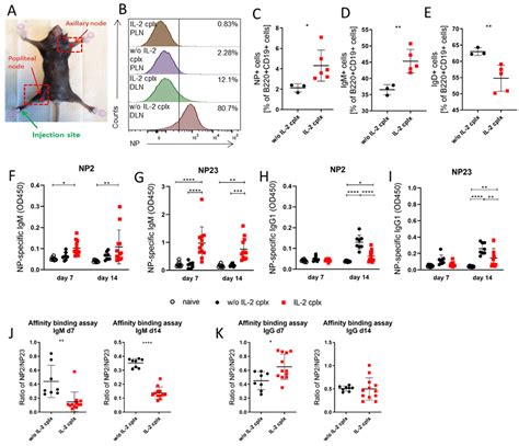 IL-2 Complex Therapy Mitigates Humoral Rejection of Fully Mismatched ...