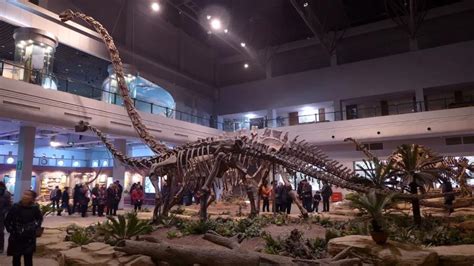 中国有哪些地方发掘出了恐龙化石？哪些地方被称为恐龙之乡？_热河