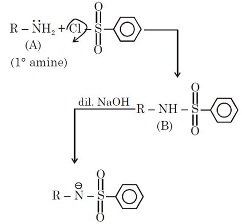 An organic compound "A" on treatment with benzene sulphonyl chloride ...