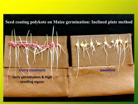 Seed Coating Formula 的图像结果