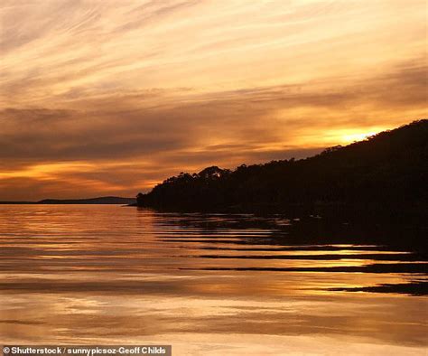 Billionaire to sell 400 hectares of bushland despite locals' protests