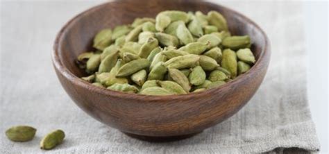 Cardamom Trivia: Fascinating Facts About This Exotic Spice – Daark ...
