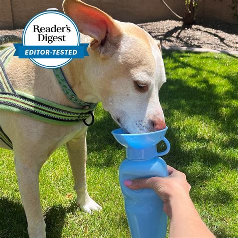 5 Best Dog Water Bottle Picks for Keeping Your Pup Hydrated On The Go