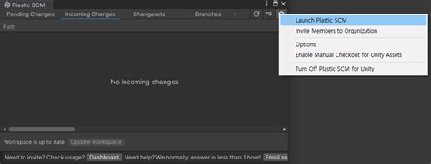 Setting Up Unity Plastic SCM 的图像结果