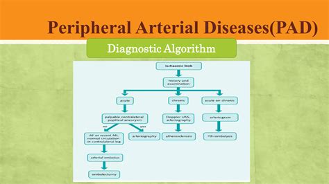 Peripheral arterial diseases | PDF