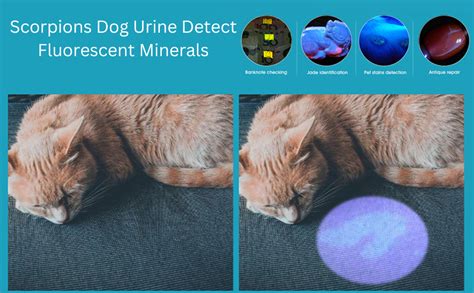 wollcocer Uv Led Flashlight Case Metal Focus-Able Lens 7W 300Lm Sk68 ...