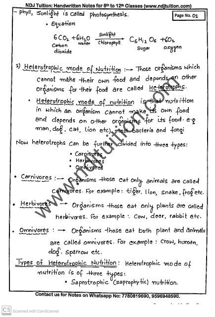Image result for Notes Class 10 Science Flowchart