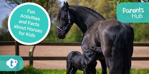 Fun Activities and Facts about Horses for Kids - Twinkl