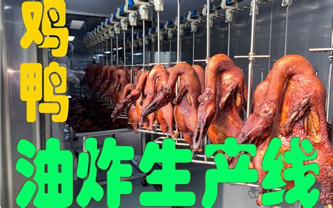 A鸭胚生产设备 全自动鸭屠宰流水线设备厂家 北京烤鸭加工设备-阿里巴巴