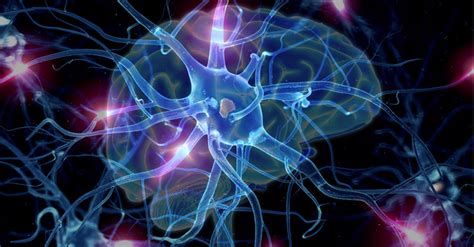 How To Never Feel Anxious Or Depressed Again – Here’s A Natural Way To Boost Your Dopamine ...
