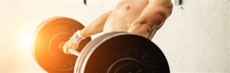 Muscle Excecise 的图像结果