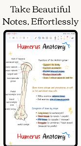 Freenotes - Notes Taking & PDF – Apps on Google Play