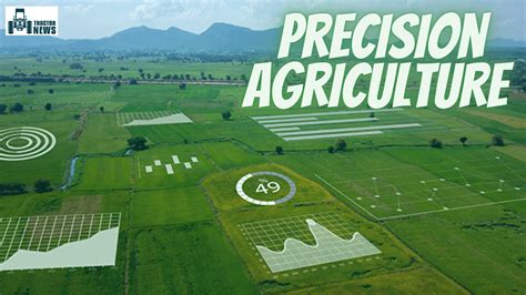 Impact Of Precision Agriculture Methods On Food Safety And Sustainability