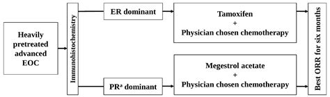 Efficacy and Safety of Chemotherapy Combined with Hormonal Therapy in ...