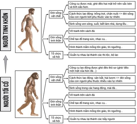 Image result for MySQL Queries Examples with Answers