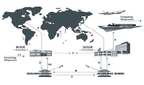Import and Export Procedure 的图像结果