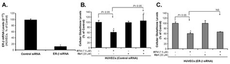 Ginsenoside Rb1 Blocks Ritonavir-Induced Oxidative Stress and eNOS ...