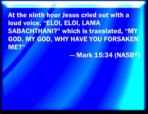 Mark 15:34 And at the ninth hour Jesus cried with a loud voice, saying ...