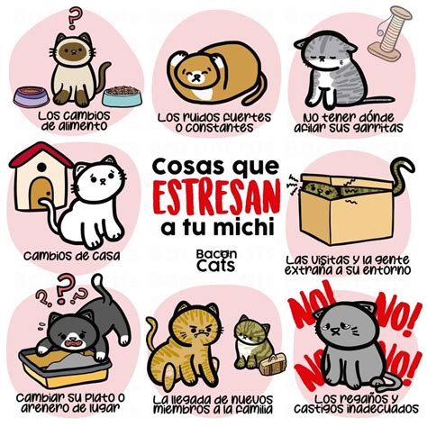 Pin de Luz Aide Peralta Sevilla en Choco,Tuky,Blaky en 2025 | Lenguaje de los gatos, Cuidado del ...