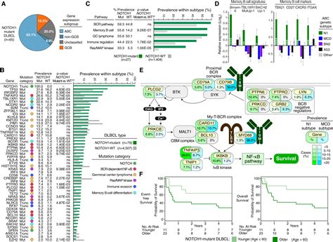 Effect of ibrutinib with R-CHOP chemotherapy in genetic subtypes of DLBCL: Cancer Cell