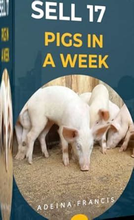 HOW I SELL 17 MATURE PIGS EVERY SINGLE WEEK: How Pig Farmers Can Make ...