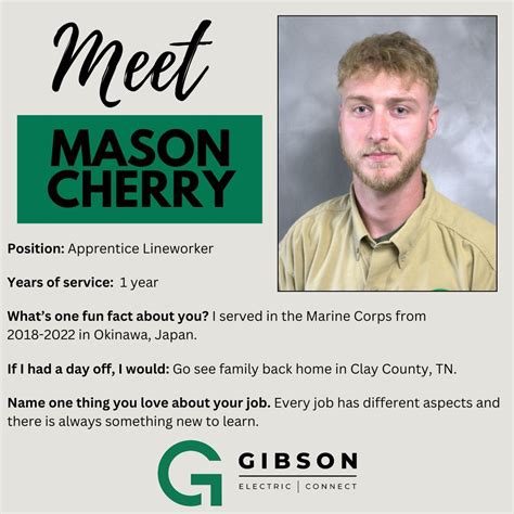 Gibson Electric Membership Corporation posted on LinkedIn