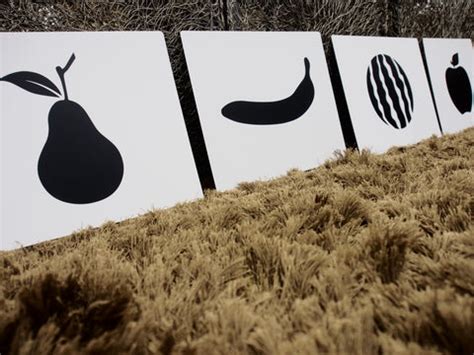 Ways to use Black and White Infant Cards | Visual Stimulation – Brainsmith