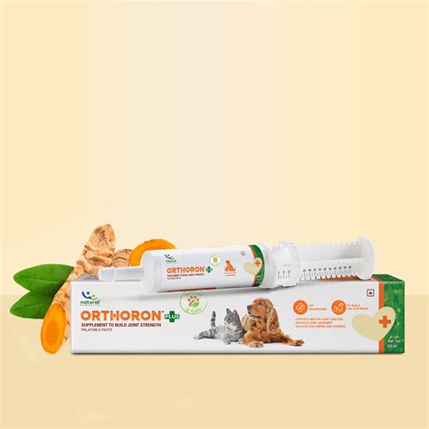 Buy Natural Remedies Orthoron Plus Joint Supplement Paste for Dogs and ...