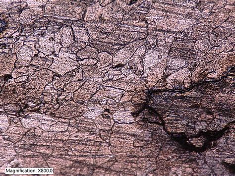 Image result for KEYENCE Microscope