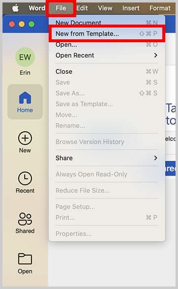 Open Template File 的图像结果