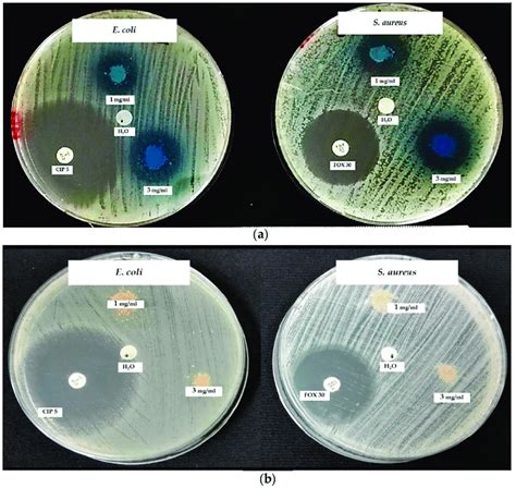 Image result for Disk Diffusion Method Interpretation