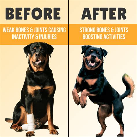 BoneFire Bone, Joints and Ligament Health Supplement for Dogs - 400 Gr ...
