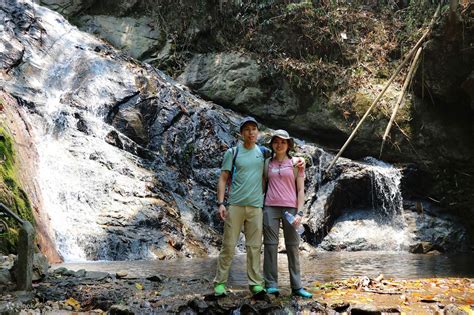 Join In Hidden Jungle Trek Watching Gibbon In Mae Kampong in Chiang mai ...