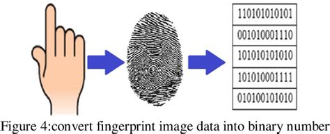Top Biometrics Model 的图像结果