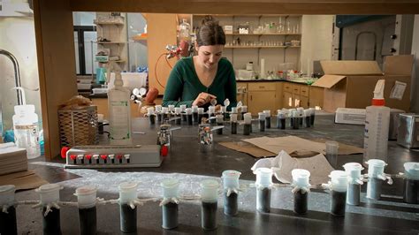 A glimpse into undergraduate research in ecology — The Gonzalez Lab