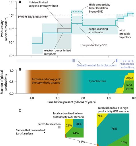 The geologic history of primary productivity: Current Biology