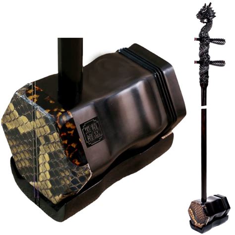 Chinese Stringed Instrument 的图像结果