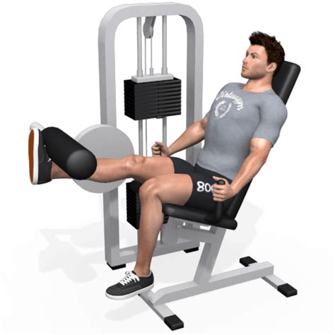 Image result for Leg Extensor Machine