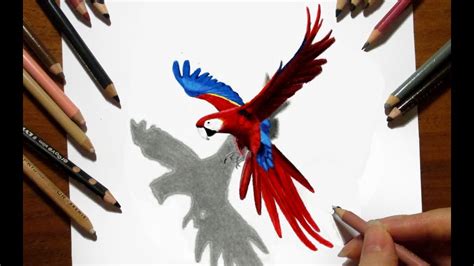 Image result for How to Draw Parrot Flying