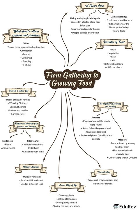 Mindmap: From Hunting-Gathering to Growing Food - Social Studies (SST ...