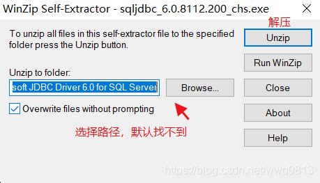 Java y SQL Server 的图像结果