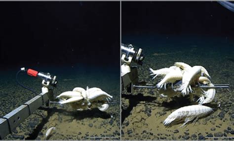 Geologists Just Discovered One of Earth’s Largest Gold Deposit, Worth 78 Billion Euros