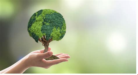 World Environment Day: Challenges Galore, Need to Act Fast | NewsClick
