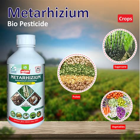Multiplex Metarhizium Insecticide (Liquid) – Agriplex